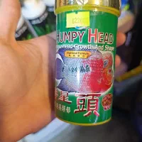 غذای تخصصی ماهی فلاور