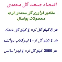 فروش نهال گل محمدی اصلاح شده بدون خار|خدمات باغبانی و درختکاری|نیشابور, مبارکه|دیوار