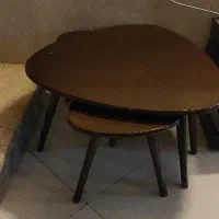 گل میز نو نو چون گردو