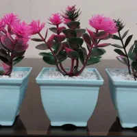 گل مصنوعی|گل مصنوعی|کرج, کیانمهر|دیوار