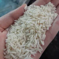 برنج هاشمی ۲۰کیلو