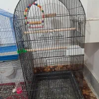 سه عدد قفس با قیمت مناسب|لوازم جانبی حیوانات|سبزوار, پاسداران|دیوار