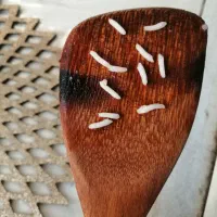 انواع برنج های ایرانی. به قیمت شمال|خوردنی و آشامیدنی|پاکدشت, پاکدشت (مامازند)|دیوار