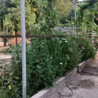 باغ ۱۱۷۵متر فردیس خوشنام