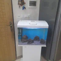 اکواریوم شیشه خم|ماهی|قرچک, باقرآباد|دیوار