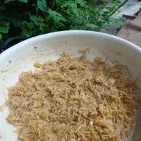 محصولات خانگی