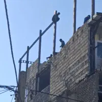 پیمان کاری کلیه امورات ساختمانی صفر تا صد|خدمات پیشه و مهارت|مشهد, ایثارگران|دیوار