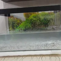 آکواریوم شیشه خم