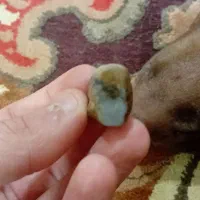 سنگ|کلکسیون اشیاء عتیقه|رشت, هلال احمر|دیوار