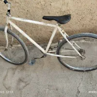 26 تنه آساک|دوچرخه، اسکیت، اسکوتر|کرباسک, |دیوار