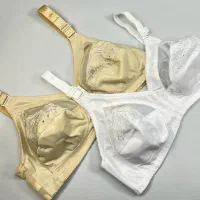 سوتین لعیا گلدوزی|لباس|اصفهان, گلزار|دیوار