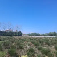 زمین کلار اباد سند تک برگ