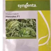 انواع بذر|خدمات باغبانی و درختکاری|شاهین‌شهر, شیخ بهایی|دیوار