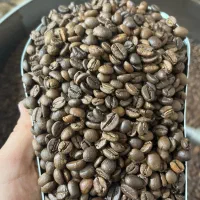 کارگاه روستری قهوه روبوستا عربیکا کافیین|عمدهفروشی|همدان, |دیوار