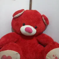 خرس کاملا نو