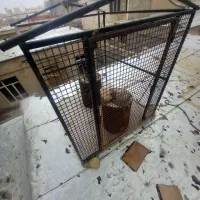 قفس|لوازم جانبی حیوانات|تبریز, |دیوار