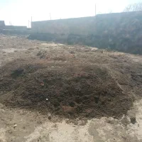 کود|لوازم جانبی حیوانات|داورزن, |دیوار