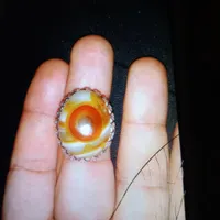 انگشتر گم شده