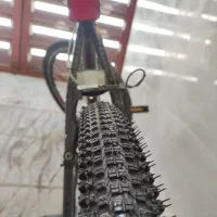 دوچرخه دماوند|دوچرخه، اسکیت، اسکوتر|کنگاور, |دیوار