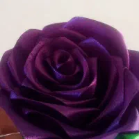 گل روبانی|گل مصنوعی|مشگین شهر, |دیوار