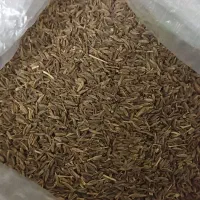 زیره کوهی