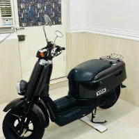 ساحل‌ها وکس ژاپنی درحد خشک واقعی