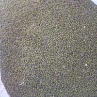 ماش عمران دره شهر