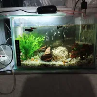 با سلام آکواریوم ۴۰ در ۲۵
