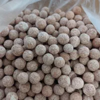 مدیا اکواریوم الیتا