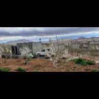 باغ لب جاده اسفالت دوبر فروشی یا معاوضه باماشین