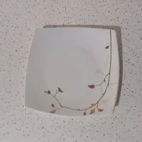 دو دست پیش دستی چینی نو نو