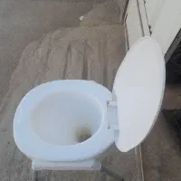 تولت فرنگی  سالم