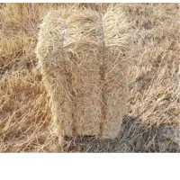 پرس گندم