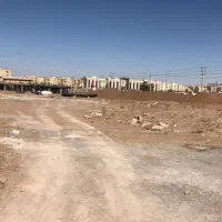 زمین-با-پروانه