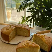 محصولات خونگی مولدا|خدمات پذیرایی، مراسم|طرقبه, |دیوار