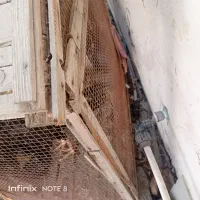 قفس چوبی بزرگ|لوازم جانبی حیوانات|چابهار, |دیوار