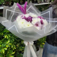 داوودی  و بابونه بسته ای ۱۰۰ تومان