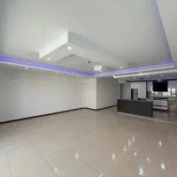۱۱۷ متر/روبه نما/نوسازی شده/باغستان غربی|فروش آپارتمان|کرج, باغستان|دیوار