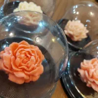 همکاری با کافه ها در تهیه دسر،کوکی،شکلات و دمنوش