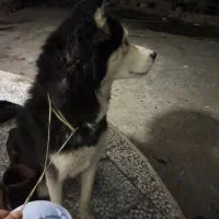 قیمت ۵ تومان