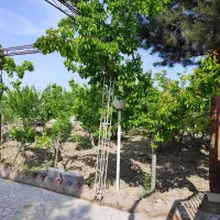 باغ میوه مثمر ۱۰۰۰ و ۲۰۰۰ متری در ۳۰ کیلومتر تهران|فروش زمین و ملک کلنگی|رباط‌کریم, وهن آباد|دیوار