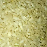 برنج چمپا چیتاب و صالحون|خوردنی و آشامیدنی|یاسوج, |دیوار