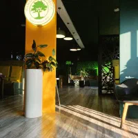 استخدام نیرو