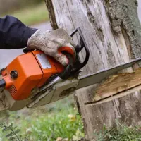 خرید چوب تر و خشک با قیمت روز