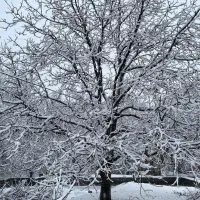 زمین تجاری مسکونی