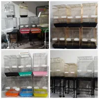 قصرقفس|لوازم جانبی حیوانات|مشهد, چهارچشمه|دیوار