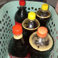 شیره انگور|خوردنی و آشامیدنی|صائین قلعه, |دیوار