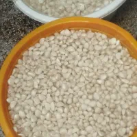 سیر سرخ شده|خوردنی و آشامیدنی|تهران, ایران|دیوار
