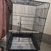 قفس مشکی