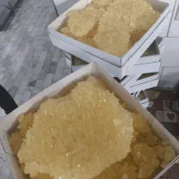 نیروی خانم